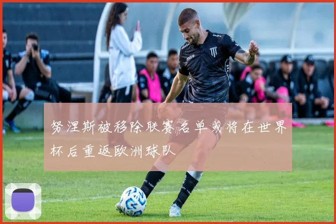 努涅斯被移除联赛名单或将在世界杯后重返欧洲球队