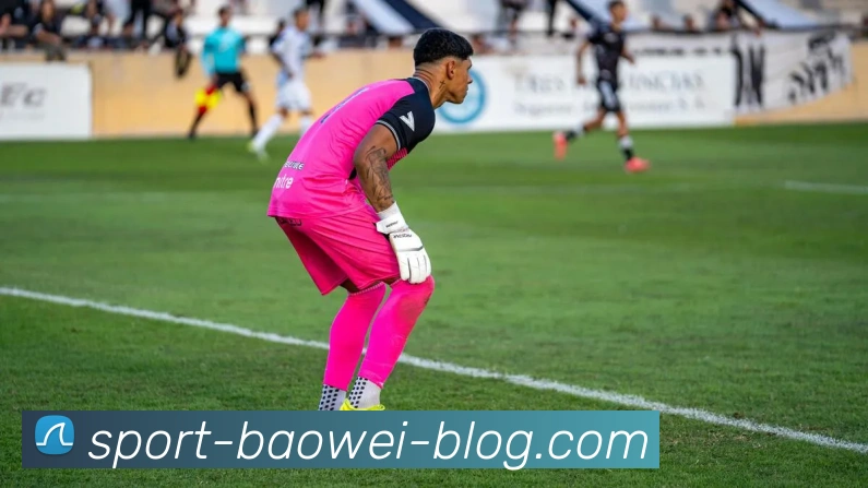 宝威体育APP 封面图